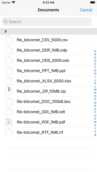 BitComet比特彗星手机版app1