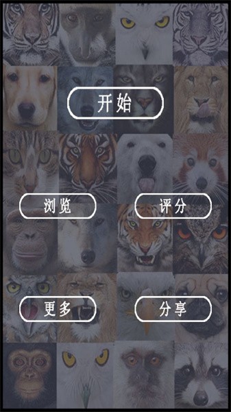 魔术美颜相机app2