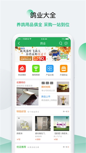 中国信鸽信息网2