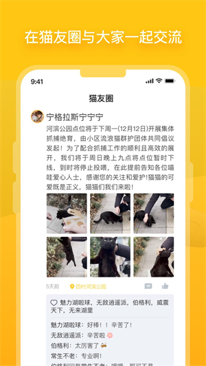 街猫3