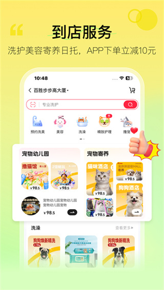 宠胖胖2