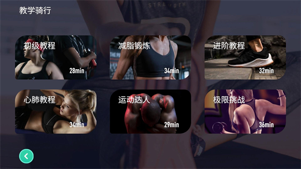 动骑4