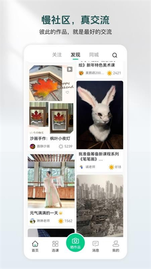 美鹦鹉1