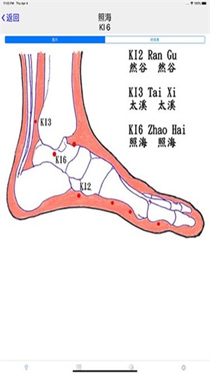 子午灵龟最新手机版1