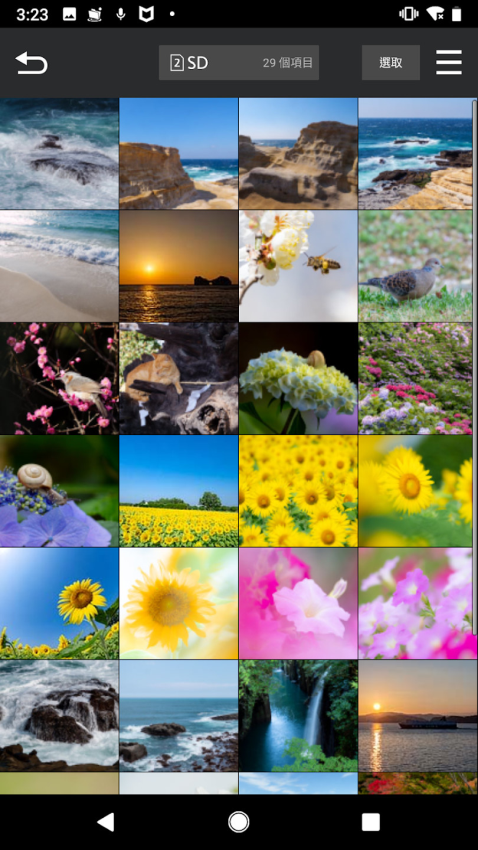 LUMIX Sync安卓版0