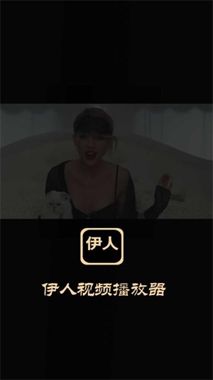 伊人视频播放器官网版0