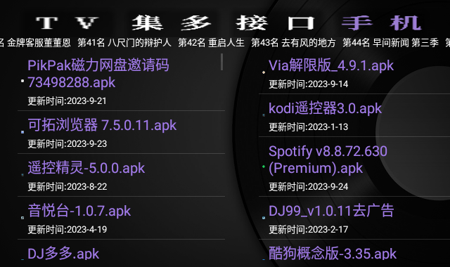 GK之家电视版软件1