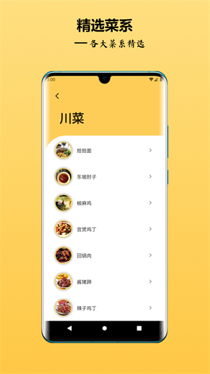 中华美食谱4