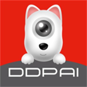 盯盯拍手机app