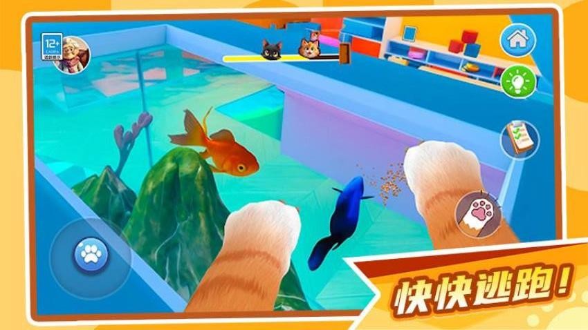 肥猫大暴走游戏4