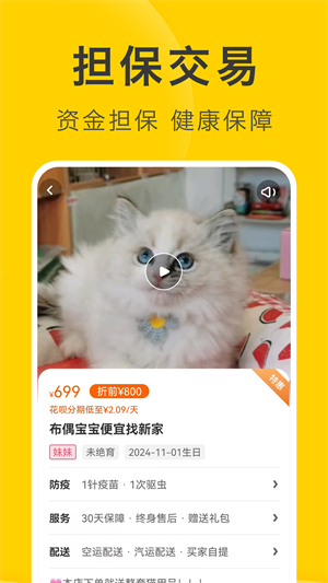 买只宠物2