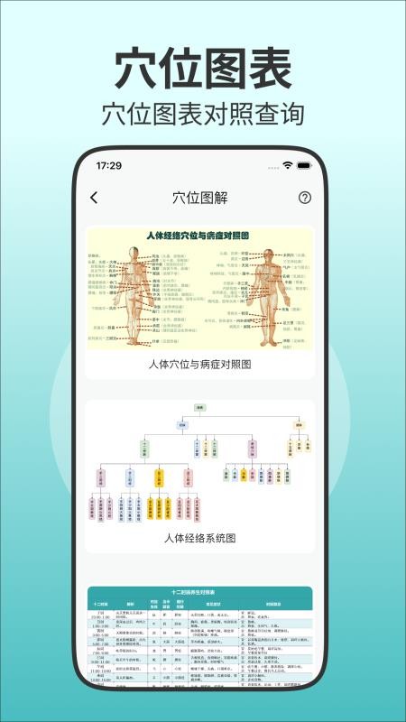 人体穴位图解官方版2