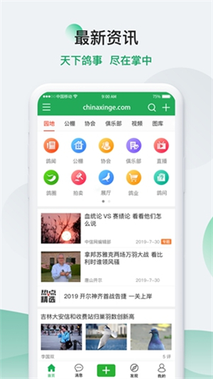 中国信鸽信息网1