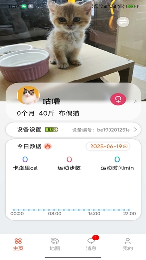 宠悦悦3