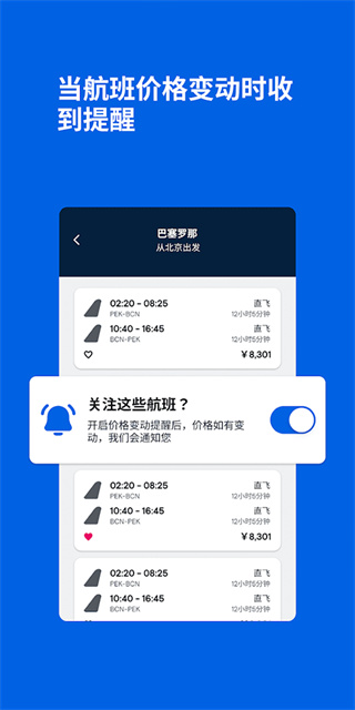 Skyscanner3