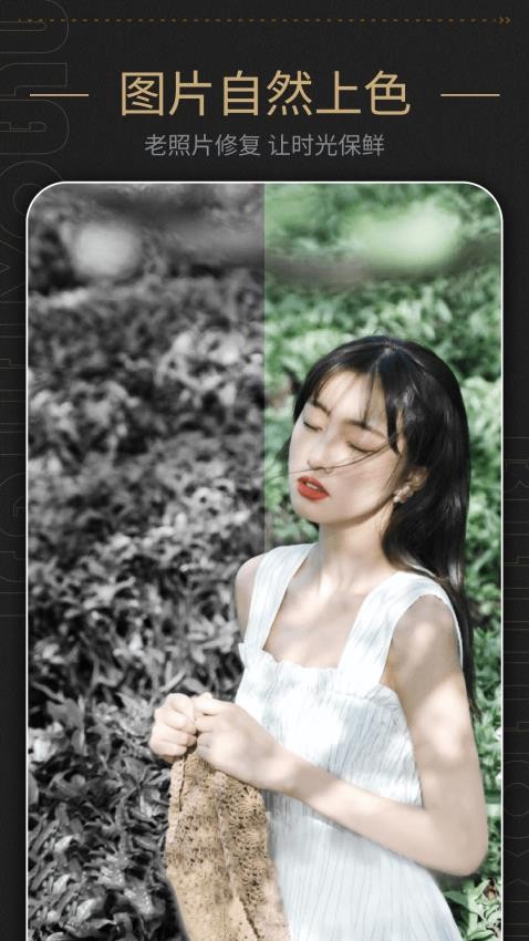 AI美食自拍照相机软件2