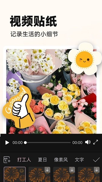视频美颜p图app2