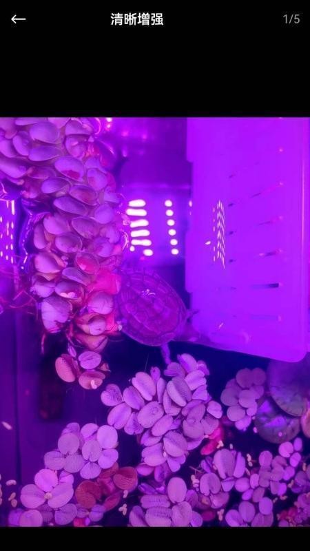 芯图相册手机版1