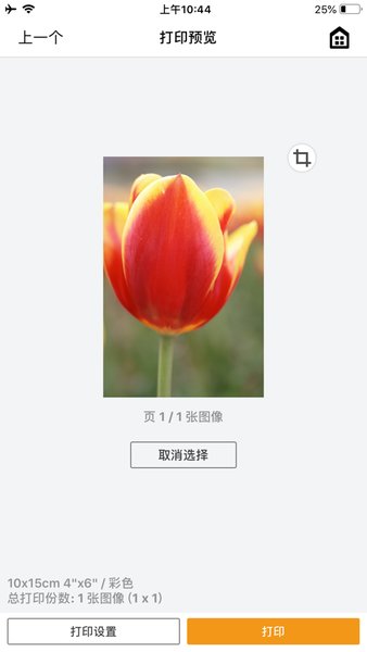 Canon PRINT Inkjet/SELPHY应用(佳能打印)2