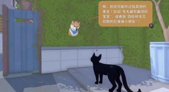 小猫咪大城市2