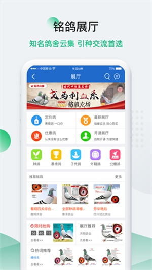 中国信鸽信息网0