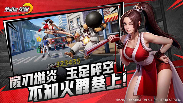 全明星觉醒游戏1