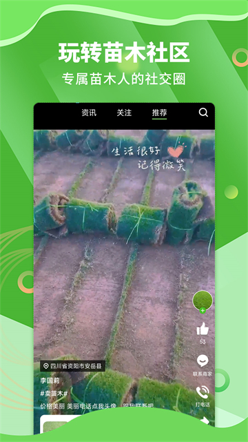 苗木通官方版0