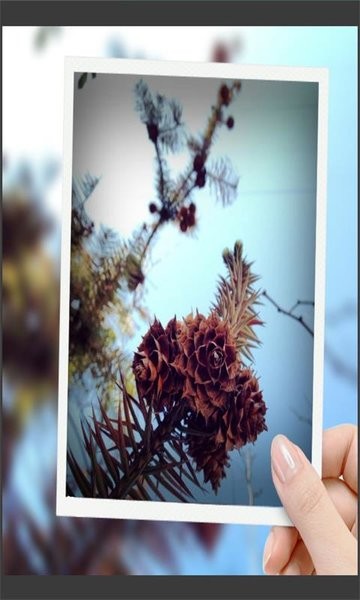 趣拍玩图照相机软件3