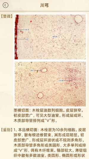 中医方歌3
