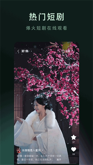 木叶短剧2