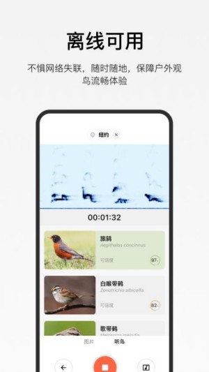 懂鸟官网版0