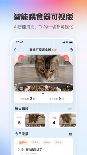 小佩宠物3