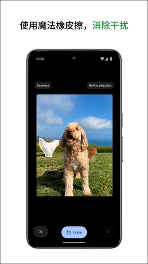 Google相册app3