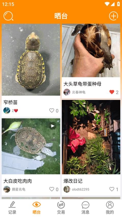 龟圈江湖最新版1