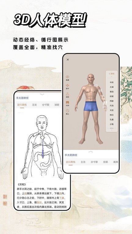 中医经络穴位标准指南3