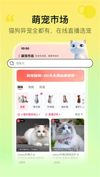 宠胖胖4