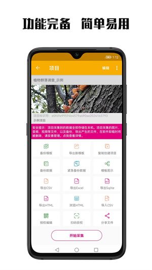 数图2