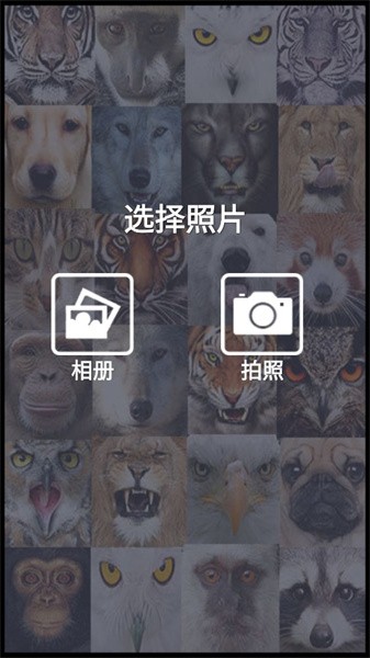 魔术美颜相机app3