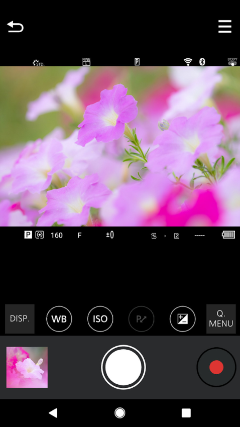 LUMIX Sync安卓版3