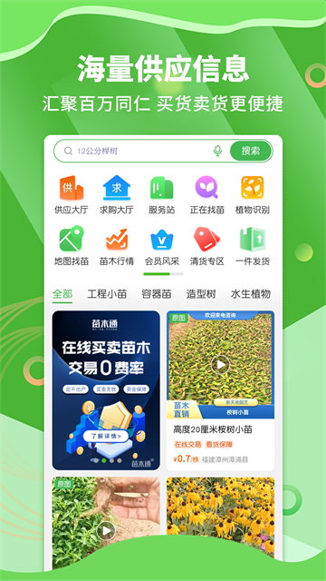 苗木通官方版4