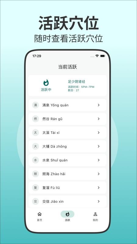 人体穴位图解官方版1