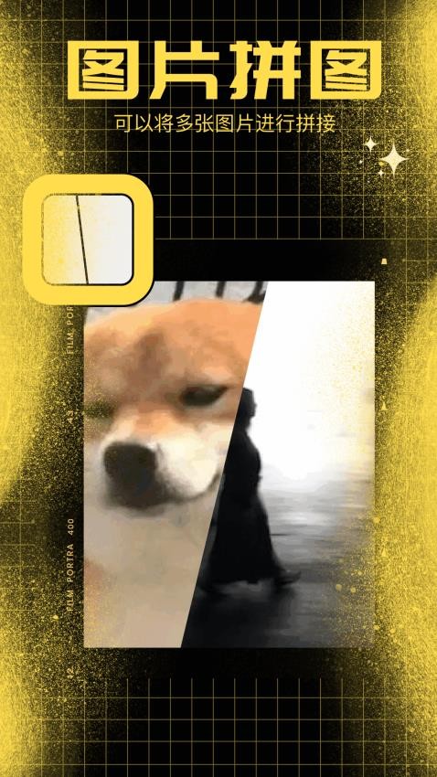 百变熊猫免费版3