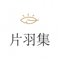 片羽集照片日记