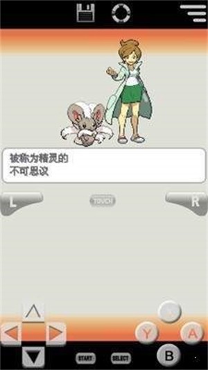 口袋妖怪白2中文版1