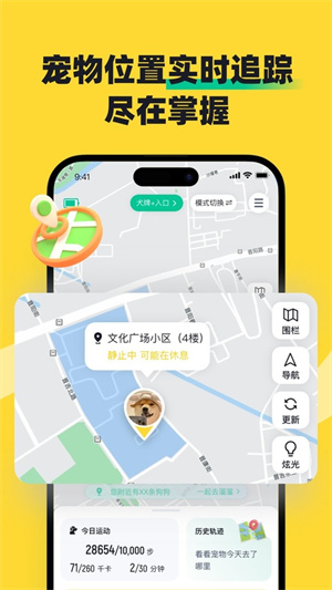 68宠物3