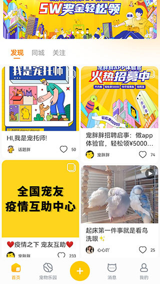 宠胖胖3