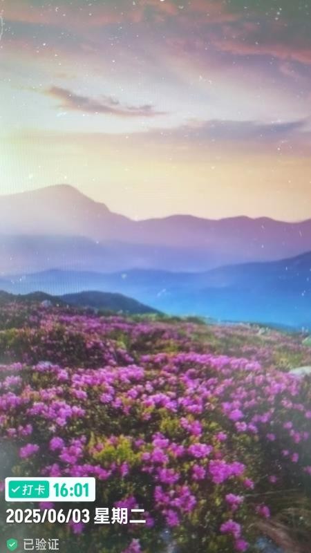 工程水印相机打卡拍照官网版1