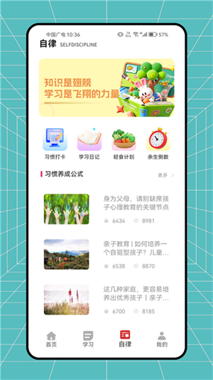 小鸡自律3