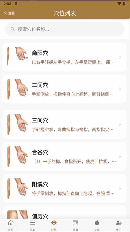 穴位图谱大全官方版1