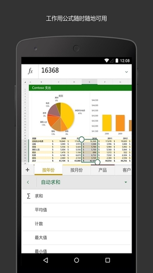 Microsoft Excel2